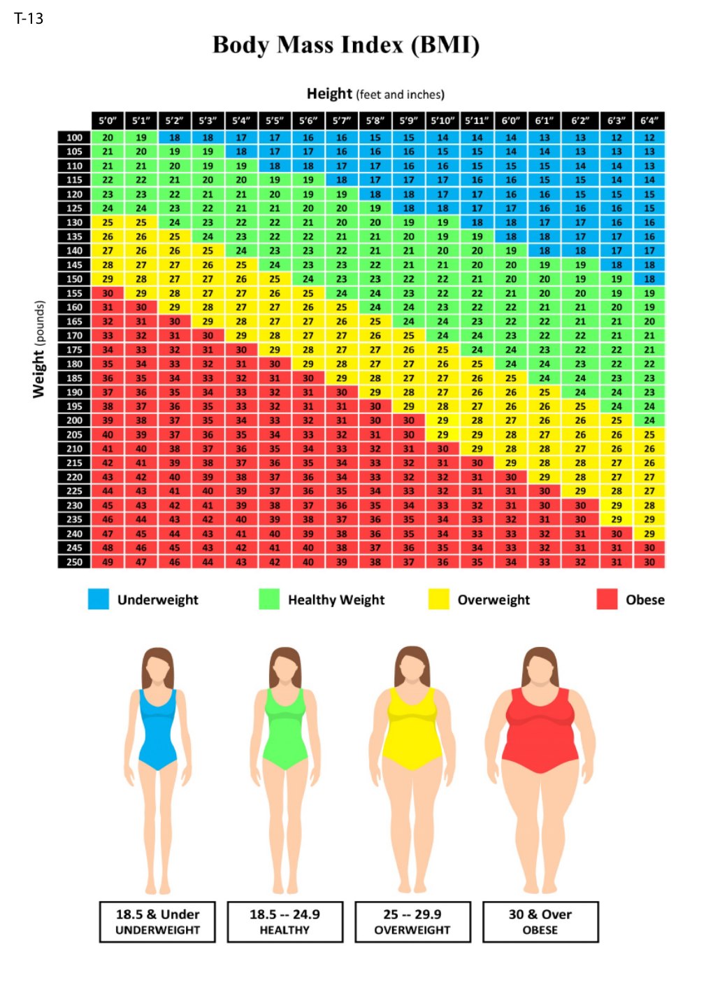 Body Mass Index chart from the website mockups