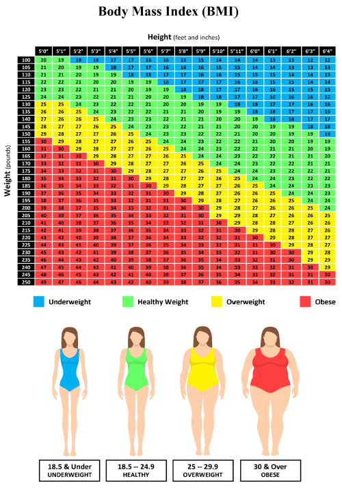 Body Mass Index chart from the source mockups