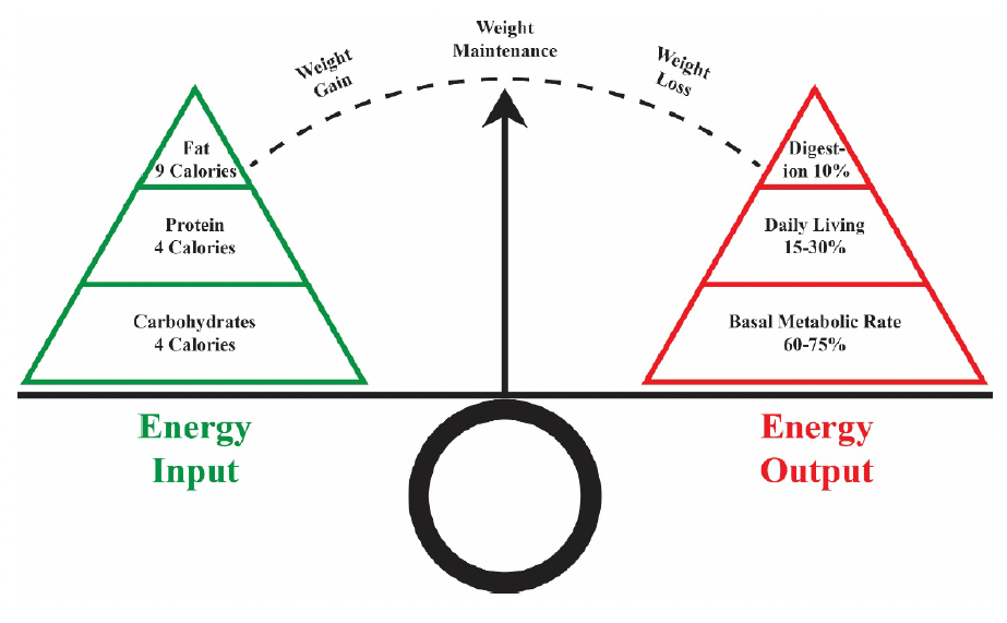 Energy balance scale showing energy input and energy output