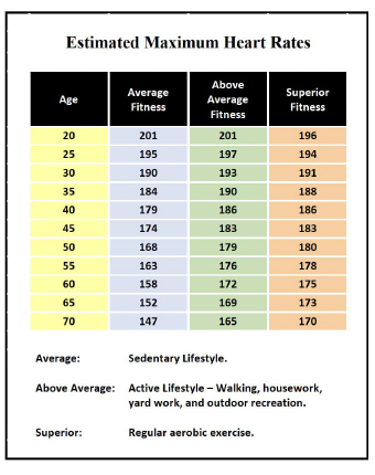 Estimated maximum heart rates by age and fitness level